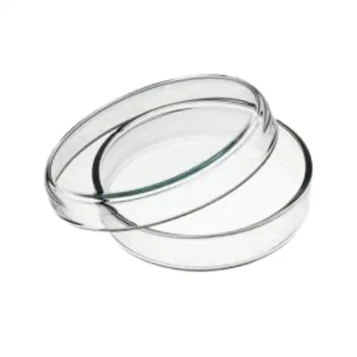Glass Petri Dish 60 mm for Laboratory Use